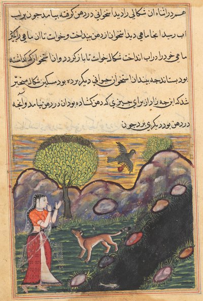 De schoondochter van de koning van Banaras ziet de jakhals beroofd van zijn voedsel door een vogel, terwijl hij tevergeefs probeert een vis te vangen, uit een Tuti-nama (Verhalen van een Papegaai): Zestiende Nacht door Unknown artist
