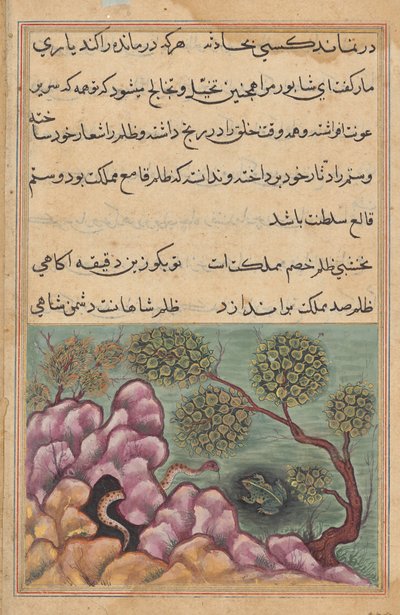 De Onttroonde Kikker Shapur Zoekt de Hulp van de Slang, uit een Tuti-nama (Verhalen van een Papegaai): Zesentwintigste Nacht door Unknown artist