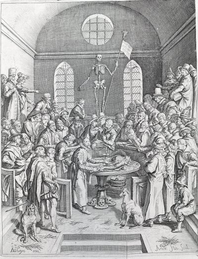 De dissectie Groep van artsen en wetenschappers verzameld om een dissectie te volgen in een amfitheater. Gravure uit 1788 door Unknown artist