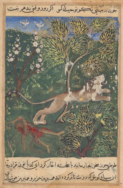 De Leeuw, Vermoedend Verraad van de Aap, Doodt Hem en Vlucht, uit een Tuti-nama (Verhalen van een Papegaai): Negenentwintigste Nacht door Unknown artist