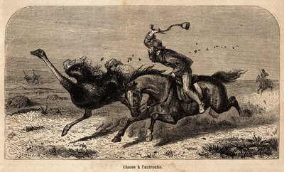 De struisvogeljacht, getekend van een foto, ter illustratie van het verhaal van de jacht in Afrika door William Charles Baldwin tussen 1852 en 1860. Gravure in 