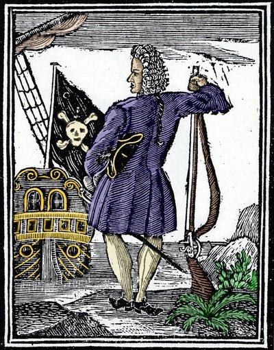 De piraat 