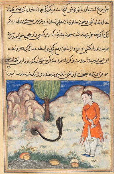 De prins, een zoon van de heerser van Sistan, gaat in dienst bij een slang, uit een Tuti-nama (Verhalen van een Papegaai): Zevenendertigste Nacht door Unknown artist