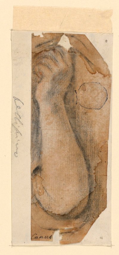 De opgeheven arm van een vrouw door Unknown artist