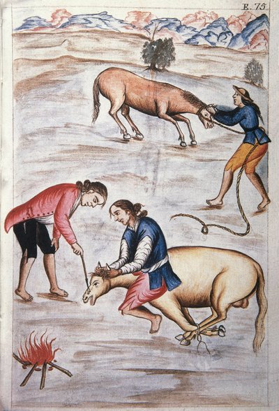 Het rode ijzermerk van een merrie, uit het boek "Trujillo del Peru" of "Códice Martínez Compañón", door Baltazar Martinez Compañón y Bujanda, bisschop van Trujillo (1782-1785) door Unknown artist