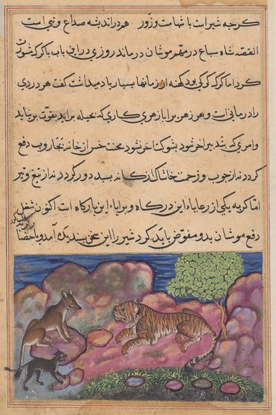 De wolf adviseert de leeuw om de kat te raadplegen, uit een Tuti-nama (Verhalen van een Papegaai): Vijftiende Nacht door Unknown artist