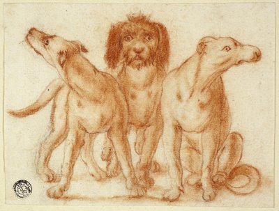 Drie Honden door Unknown artist