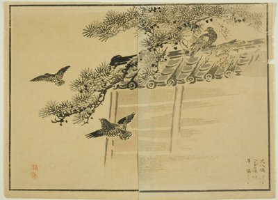 Drie soorten vogels bij een muur door Unknown artist