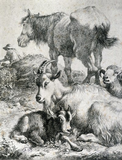 Trekpaard, geit, bok en ram (gravure) door Unknown artist