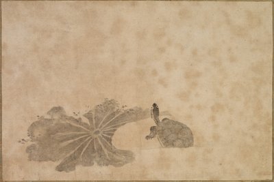 Schildpad in een lotusvijver door Unknown artist