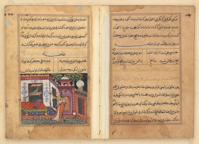 Tuti-Nama (Verhalen van een Papegaai) door Unknown artist