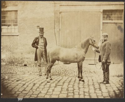 [Two Men and a Horse]. door Unknown artist