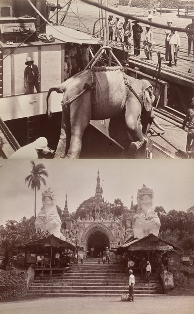 Zonder titel: (olifant wordt op een schip geladen, recto); (trappen en gebouw, verso) door Unknown artist