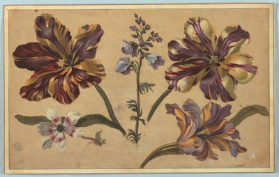 Verschillende bloemen door Unknown artist