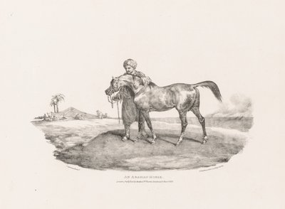 Verschillende Onderwerpen Getekend uit het Leven en op Steen: Een Arabisch Paard door Unknown artist