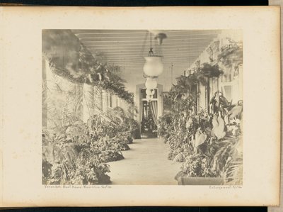 Veranda. Regeringshuis. Maurituis. door Unknown artist