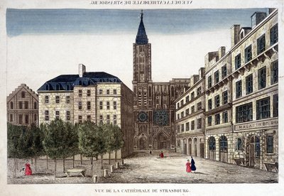 Zicht op de kathedraal van Straatsburg in de 18e eeuw. door Unknown artist