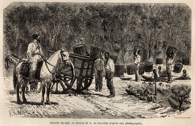Wanneer de koffie wordt verzameld, verzamelen en vervoeren de mannen de zware manden gevuld met koffiebonen, terwijl de kinderen de pulp schoonmaken die de koffiebonen omringt. Gravure ter illustratie van de reis naar Brazilië, verhaal door M. en Mme Agass door Unknown artist
