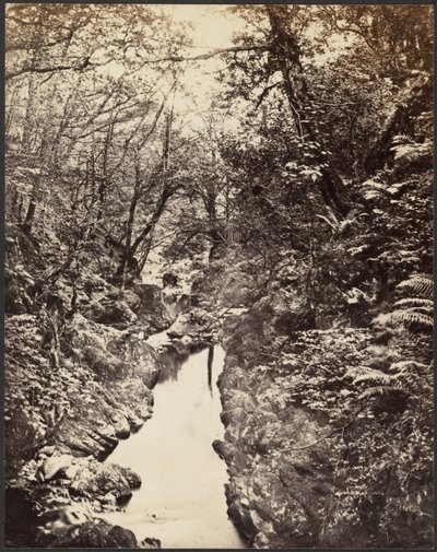 [Bebost landschap met beek]. door Unknown artist