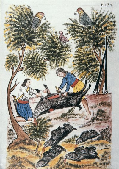 Jonge motilones-indianen slachten een wild zwijn, uit het boek "Trujillo del Peru" of "Códice Martínez Compañón", door Baltazar Martinez Compañón y Bujanda, bisschop van Trujillo (1782-1785) door Unknown artist