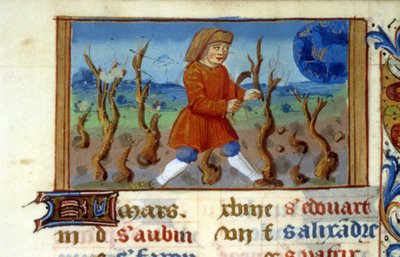 Zodiac Ram en boommaat - Miniatuur uit de Middeleeuwen (ref. 137, 047r) - Vraag toestemming aan de Gemeentelijke Bibliotheek van Toulouse (tel: 05 62 27 66 66) door Unknown artist