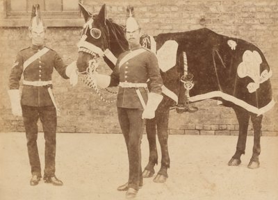 Een paard van de 3e door Unknown
