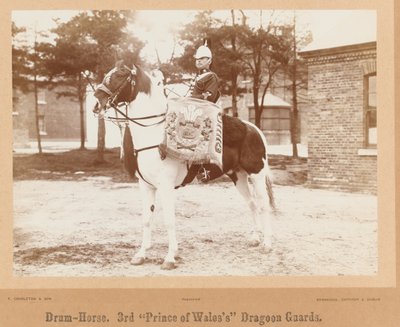 Drum-paard, 3e Prins van Wales