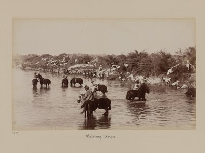 Indiase cavaleristen die hun paarden water geven tijdens het Delhi Kamp van Oefening door Unknown photographer