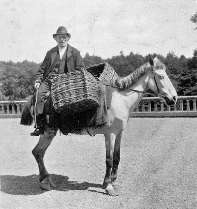 Ierse man op zijn paard (19e eeuw) door Unknown photographer
