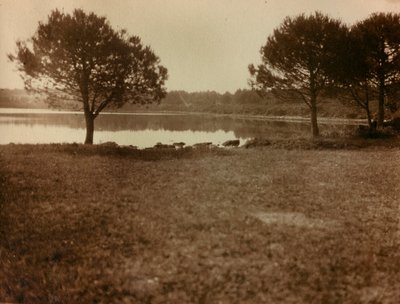 Landschap op de Brijuni-eilanden door Unknown photographer