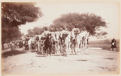 Nabha Native Cavalry Contingent bij het Delhi oefenkamp door Unknown photographer