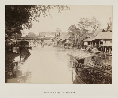 Foto in fotoalbum door Unknown photographer