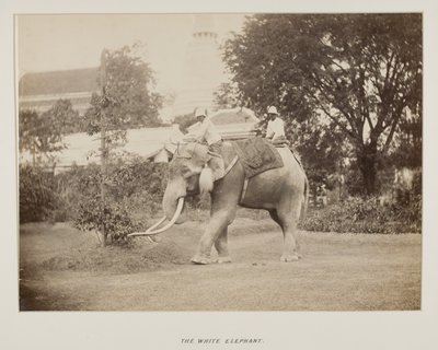 Foto in fotoalbum door Unknown photographer