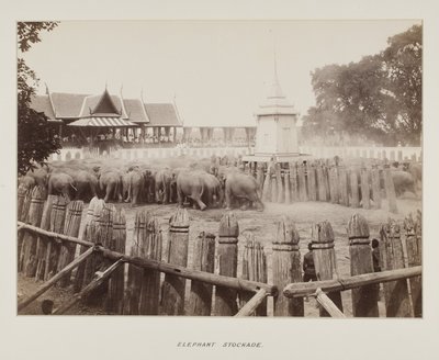 Foto in fotoalbum door Unknown photographer