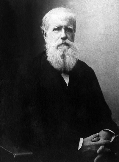 Portret van Dom Pedro de Alcantara (Peter II) (1825-1891), keizer van Brazilië. door Unknown photographer