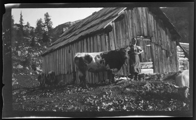 Vorderbachalm met Alpenhut bij Goessl aan het Grundlmeer door Unknown photographer