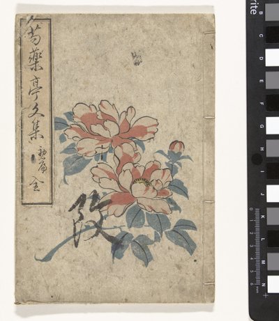 Anthologie van pioenrozen door Utagawa (school of)