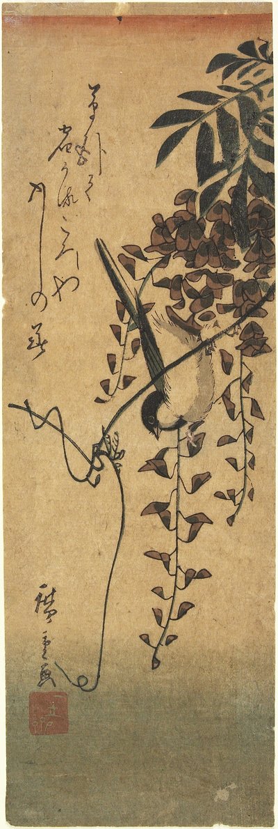 Vogel op Wisteria Tak door Utagawa Hiroshige