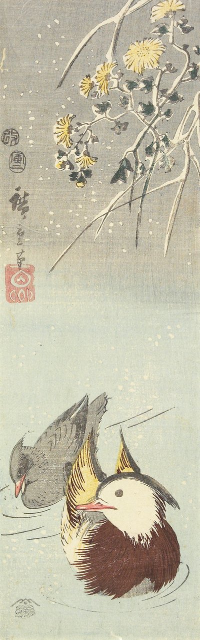 (Chrysant en Mandarijneenden), februari 1854 door Utagawa Hiroshige