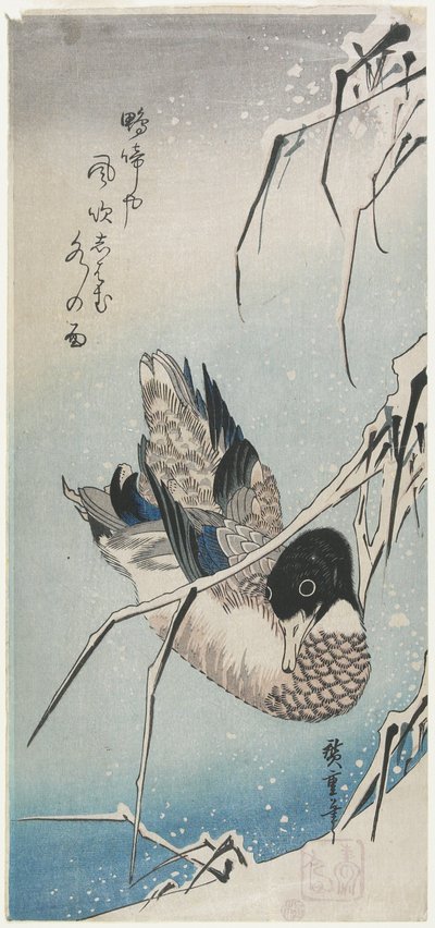 Eend en besneeuwde rietstengels door Utagawa Hiroshige