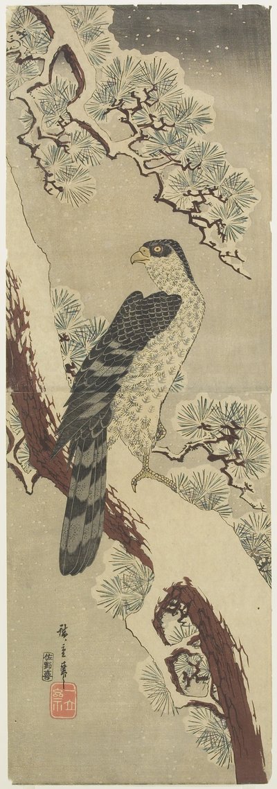 (Havik op dennenboomtak, winter), begin 19e eeuw door Utagawa Hiroshige