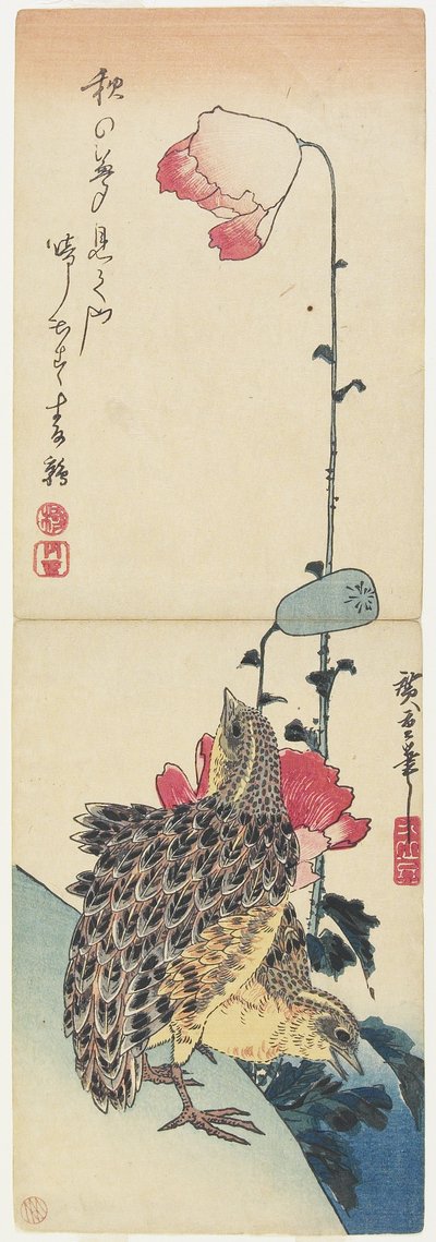Kwartel en klaprozen, 1830-1858 door Utagawa Hiroshige