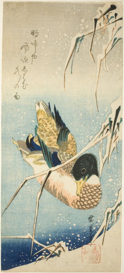 Een wilde eend zwemmend bij een met sneeuw bedekte oever onder met sneeuw beladen riet door Utagawa Hiroshige