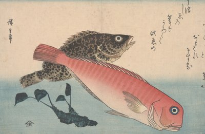 Amadai, Mebaru en Wasabiwortel door Utagawa Hiroshige