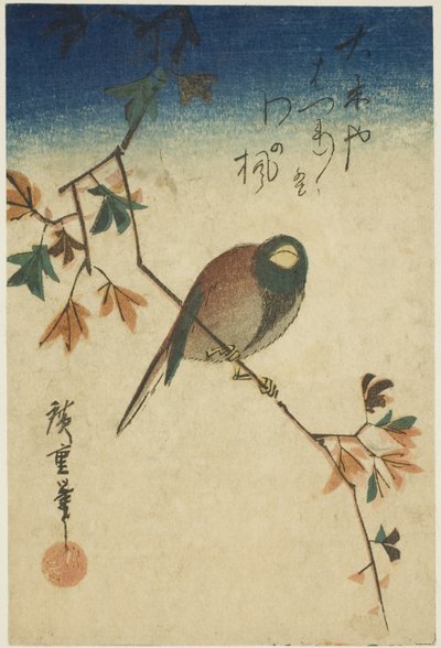 Vogel op esdoorn tak door Utagawa Hiroshige