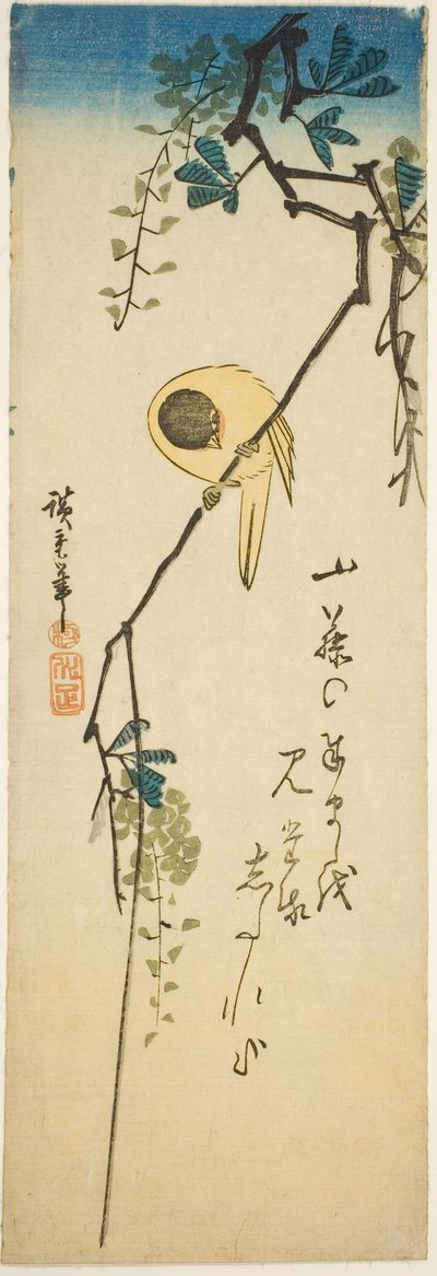 Vogel op Zijdeachtige Wisteria door Utagawa Hiroshige