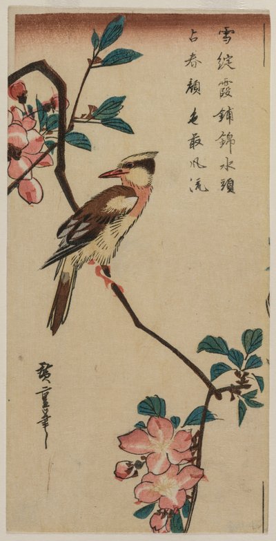 Zwartnek Oriole (Koreaanse Zanger) op een Hall Crabapple door Utagawa Hiroshige