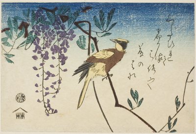 Zwartnekoriolus en wisteria door Utagawa Hiroshige