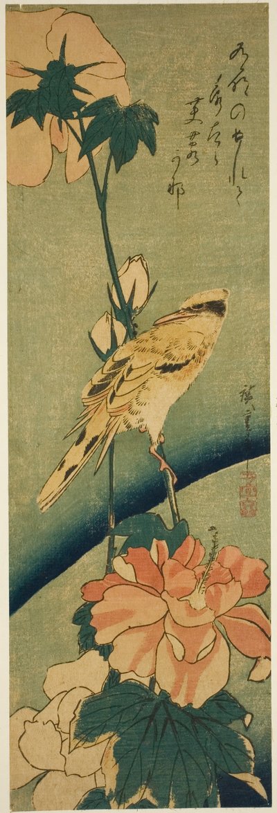 Zwartnekoriolus op hibiscus door Utagawa Hiroshige