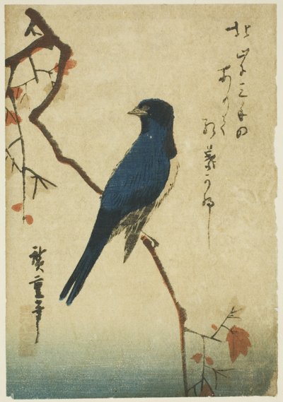 Blauwe vogel op esdoorn tak door Utagawa Hiroshige
